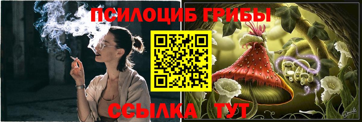 Псилоцибиновые грибы MAGIC MUSHROOMS Одинцово